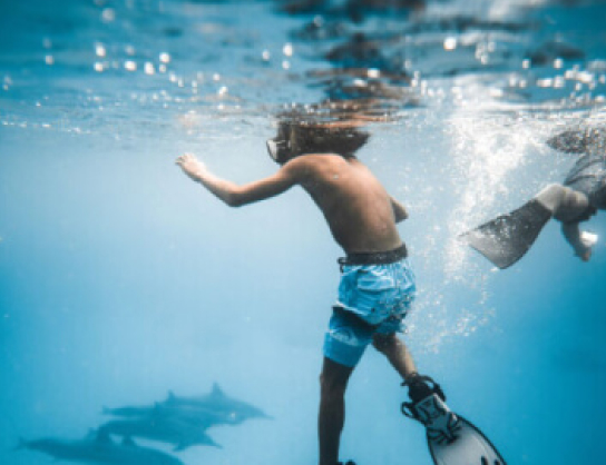 1xBet Casino App & APK Download 2026