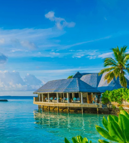 Free 1xBet Live Casino – Live Dealer Blackjack, Roulette & Baccarat